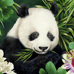 Пазл: Маленькая панда
