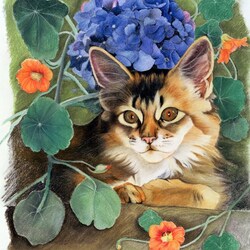 Пазл: Котик в цветах