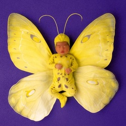 Пазл: Малыш-бабочка