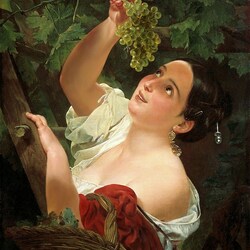 Пазл: Девушка, собирающая виноград