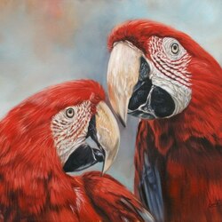 Пазл: Красные попугаи