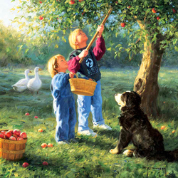 Пазл: Сбор урожая яблок
