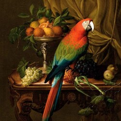 Пазл: Натюрморт с попугаем