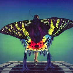 Пазл: Butterfly / Бабочка