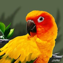 Пазл: Желто-красный попугай