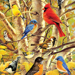 Пазл: Птичий сбор