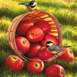 Пазл: Урожай красных яблок