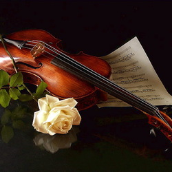 Пазл: Скрипка и роза 