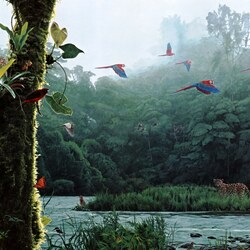 Пазл: Рандеву в тропическом лесу