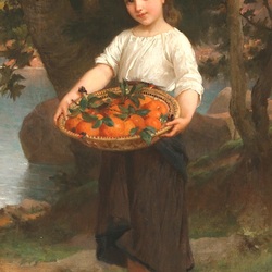 Пазл: Урожай апельсинов