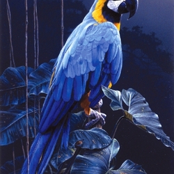 Пазл: Голубой попугай