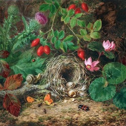 Пазл: Птичье гнездо