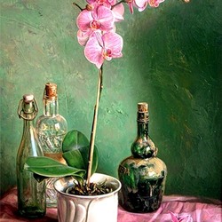 Пазл: Орхидея