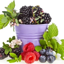 Пазл: Ягодный коктейль