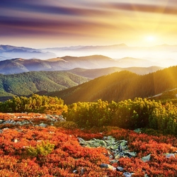 Пазл: Рассвет над холмами