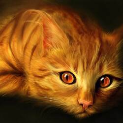 Пазл: Рыжий кот