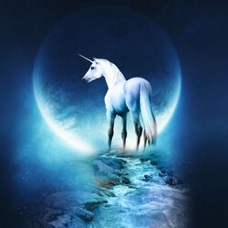 Пазл: Лунная дорожка