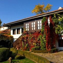 Пазл: Дворик в осеннем наряде