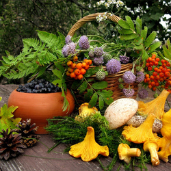 Пазл: Дары природы