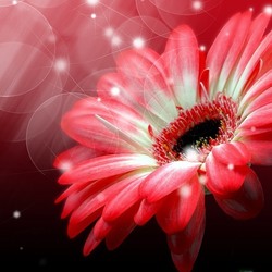 Пазл: Нежно-розовый