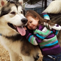 Пазл: Любимец