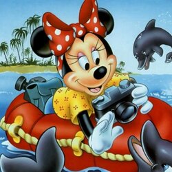 Пазл: Веселые дельфины