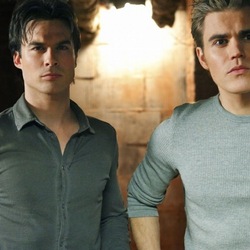 Пазл: Стефан и Дэймон Сальваторе