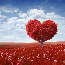 Пазл: По-другому окрашенный мир