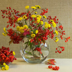 Пазл: Калина 