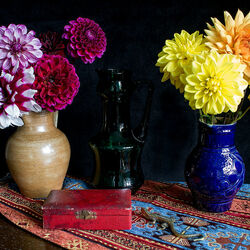 Пазл: Георгины