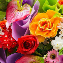 Пазл: Феерия