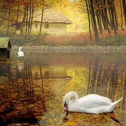 Пазл: Зеркальная гладь озера