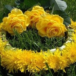 Пазл: Розы и одуванчики