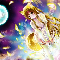 Пазл: При луне