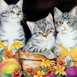 Пазл: Пушистые комочки