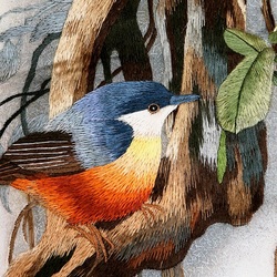 Пазл: Птичка