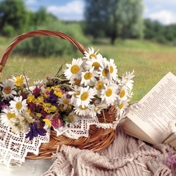 Пазл: Отдыхая от города