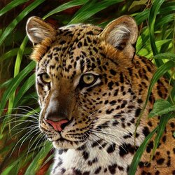 Пазл: Леопард