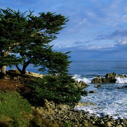 Пазл: Береговая линия