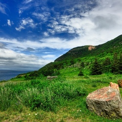 Пазл: Природное очарование