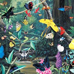 Пазл: Бабочки