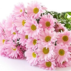 Пазл: Букет хризантем