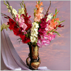 Пазл: Букет гладиолусов