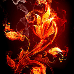 Пазл: Огненный цветок