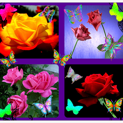 Пазл: Цветы и бабочки