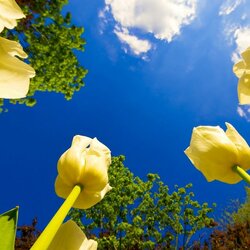 Пазл: Небеса