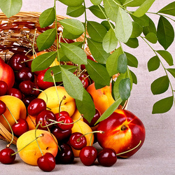 Пазл: Корзинка с фруктами