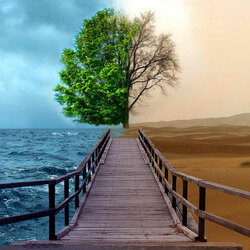 Пазл: Противоположности