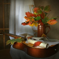 Пазл: ''Изгиб гитары...''