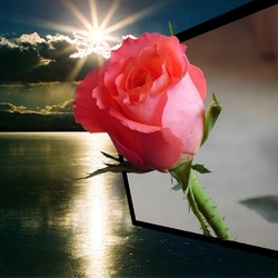 Пазл: На память с любовью